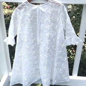 Vintage sheer shift dress with flare wrists. Size 6